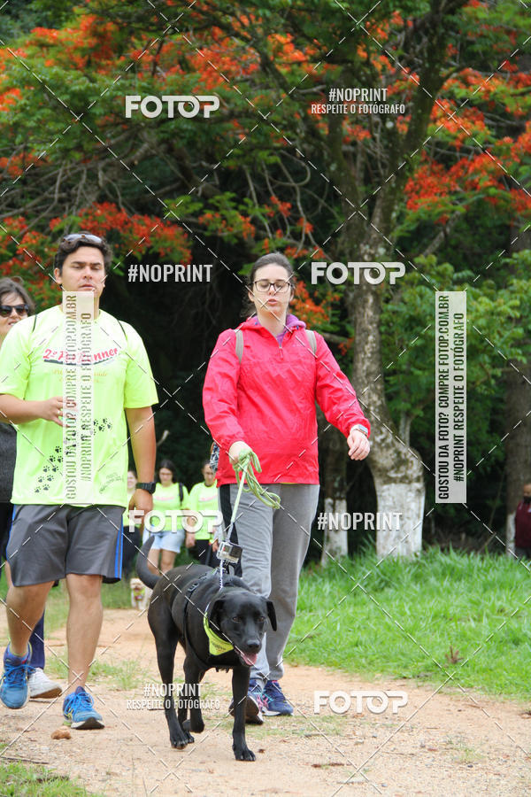 Buy your photos of the event2 PET RUNNER 2019 on Fotop