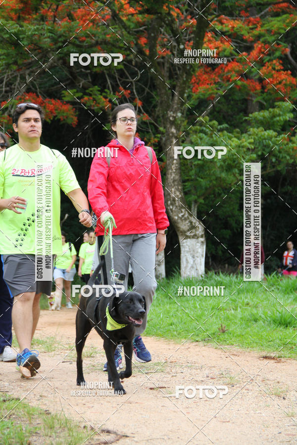 Buy your photos of the event2 PET RUNNER 2019 on Fotop