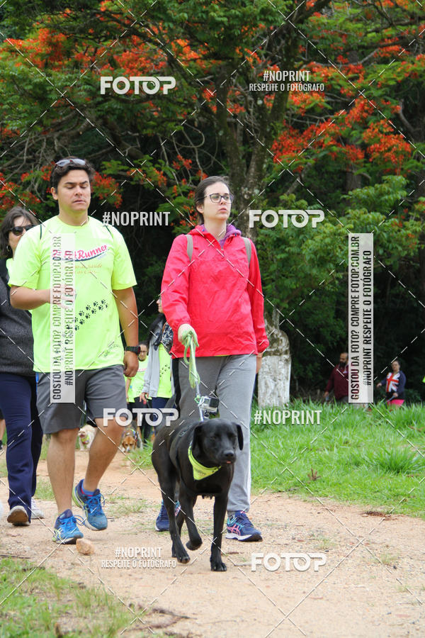 Buy your photos of the event2 PET RUNNER 2019 on Fotop