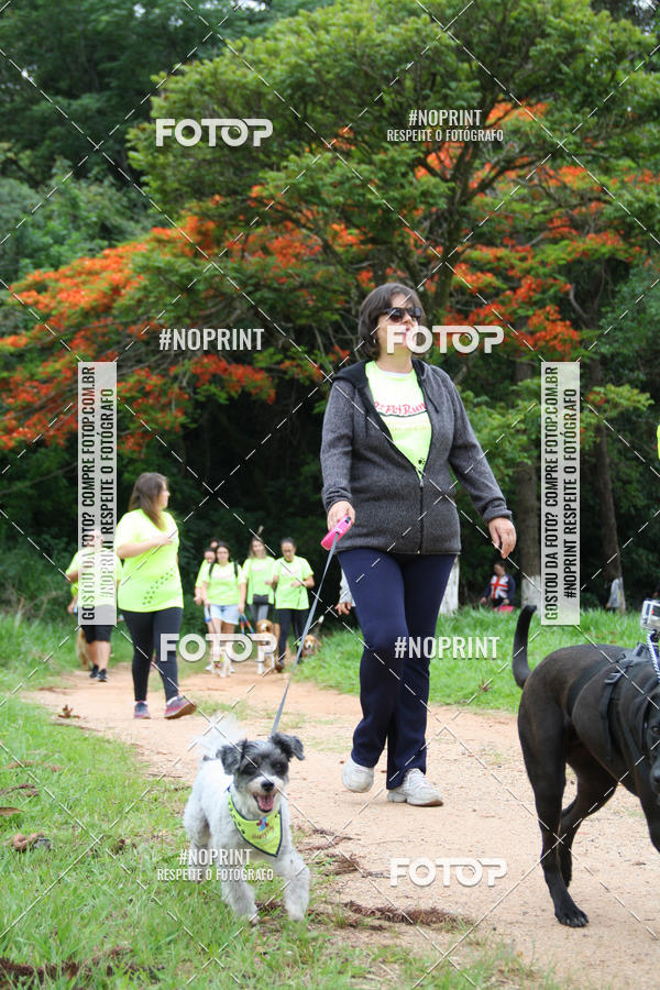 Buy your photos of the event2 PET RUNNER 2019 on Fotop
