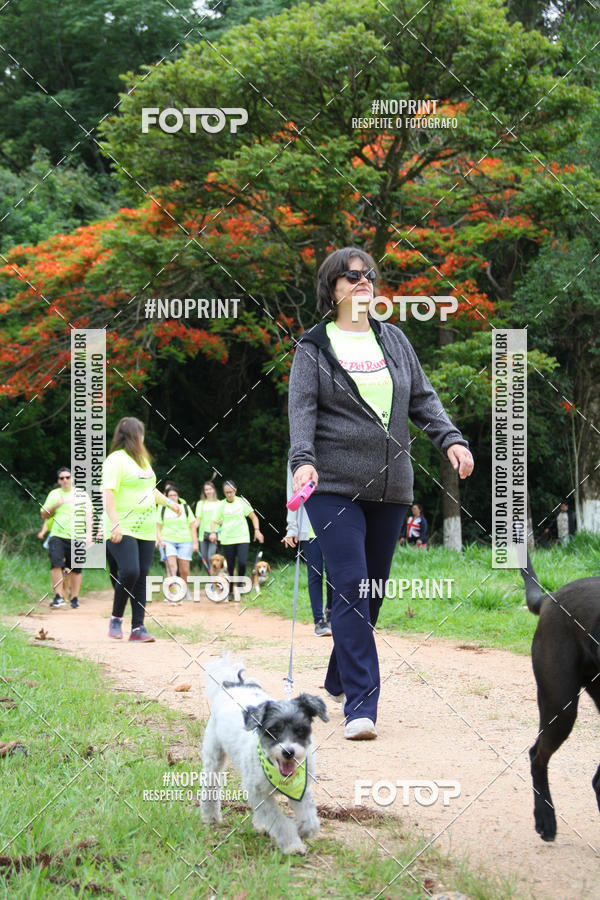 Buy your photos of the event2 PET RUNNER 2019 on Fotop