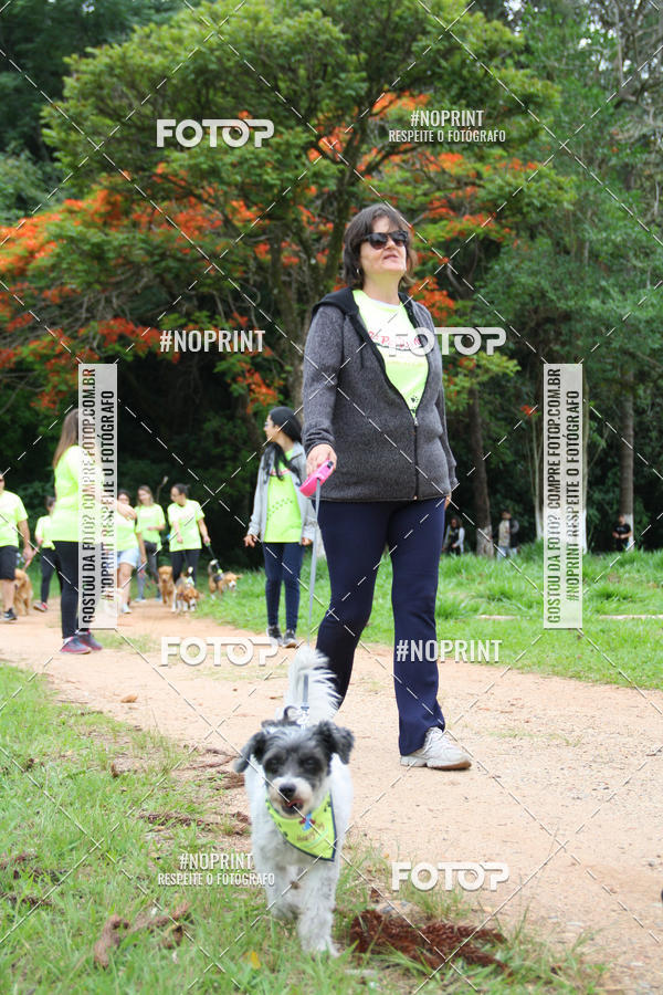 Buy your photos of the event2 PET RUNNER 2019 on Fotop