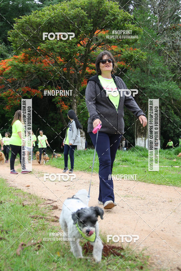 Buy your photos of the event2 PET RUNNER 2019 on Fotop