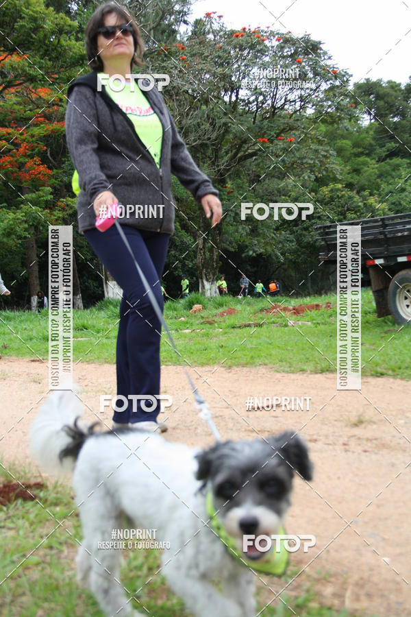 Buy your photos of the event2 PET RUNNER 2019 on Fotop