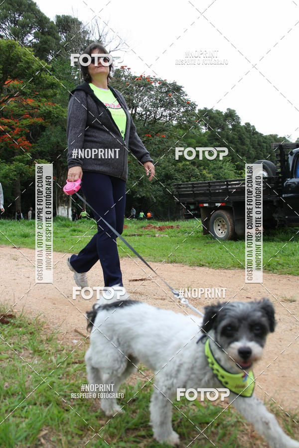 Buy your photos of the event2 PET RUNNER 2019 on Fotop