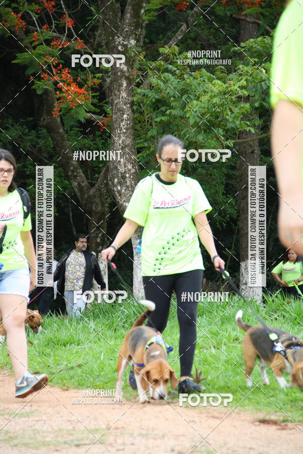 Buy your photos of the event2 PET RUNNER 2019 on Fotop