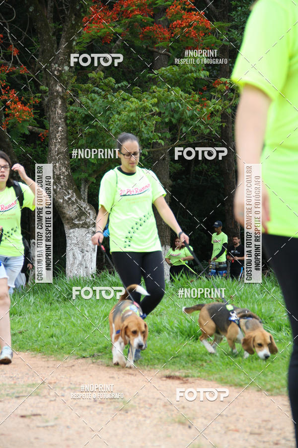 Buy your photos of the event2 PET RUNNER 2019 on Fotop