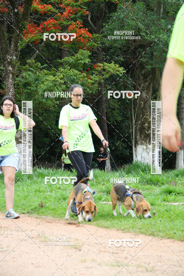 Buy your photos of the event2 PET RUNNER 2019 on Fotop