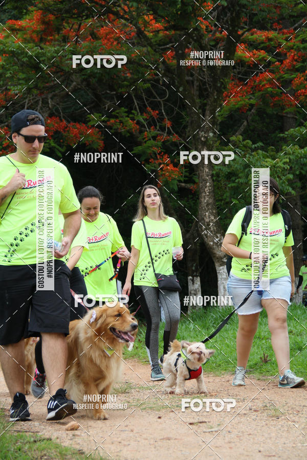 Buy your photos of the event2 PET RUNNER 2019 on Fotop