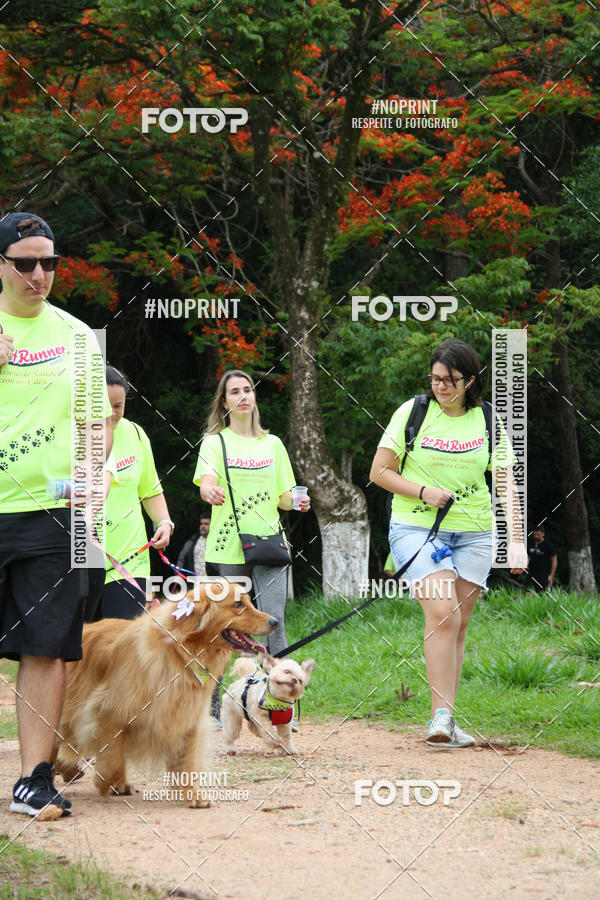 Buy your photos of the event2 PET RUNNER 2019 on Fotop
