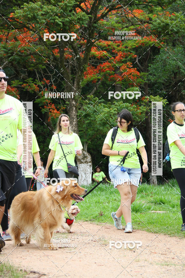 Buy your photos of the event2 PET RUNNER 2019 on Fotop