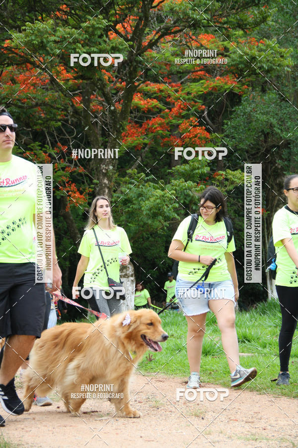 Buy your photos of the event2 PET RUNNER 2019 on Fotop