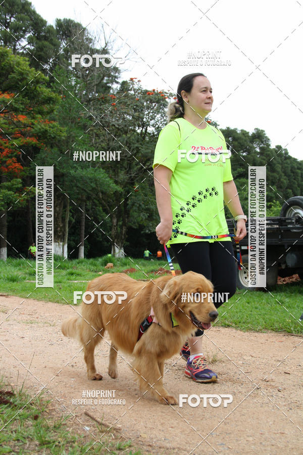 Buy your photos of the event2 PET RUNNER 2019 on Fotop