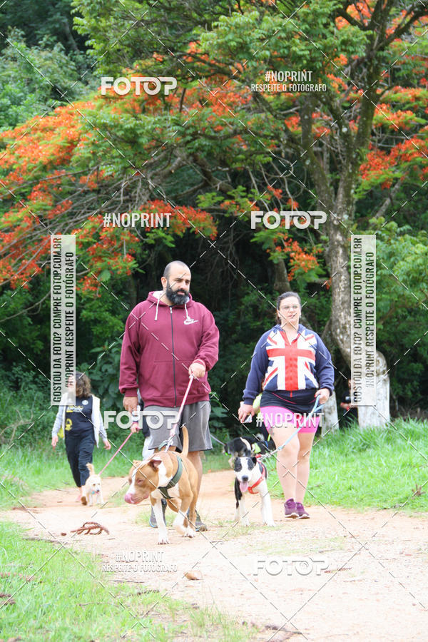Buy your photos of the event2 PET RUNNER 2019 on Fotop