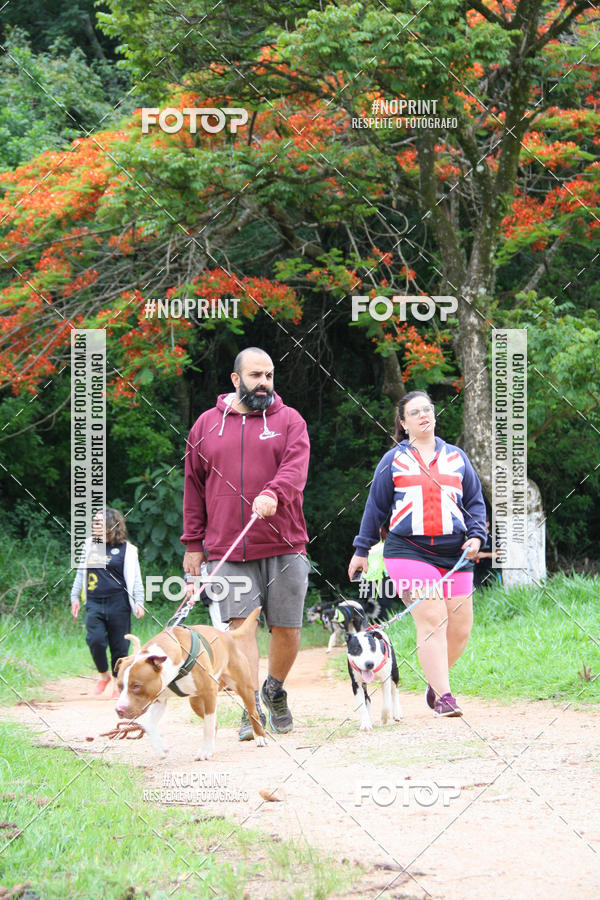 Buy your photos of the event2 PET RUNNER 2019 on Fotop