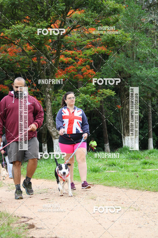Buy your photos of the event2 PET RUNNER 2019 on Fotop
