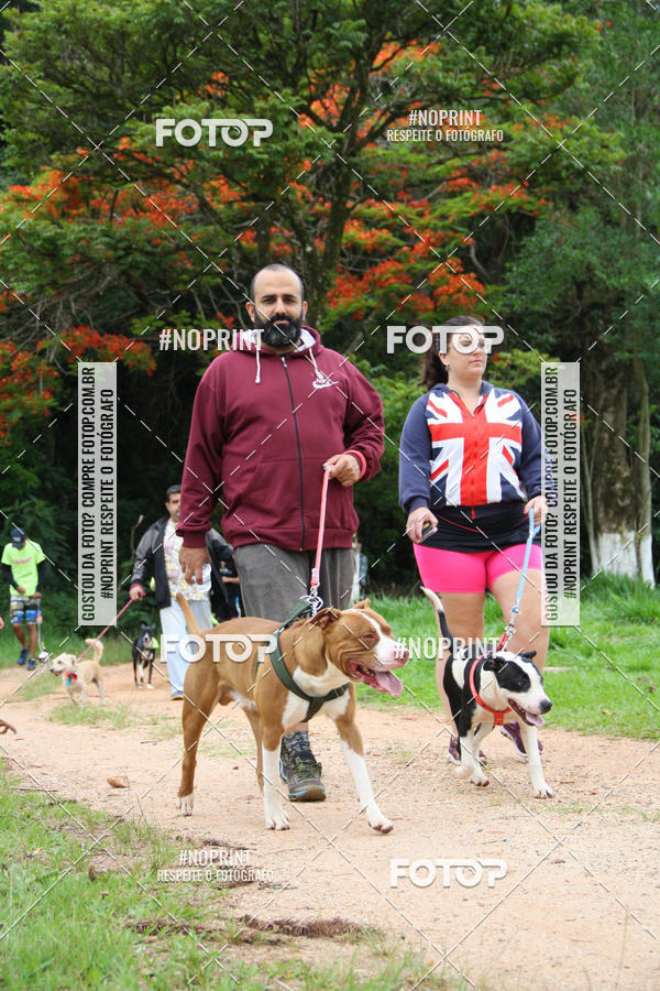 Buy your photos of the event2 PET RUNNER 2019 on Fotop