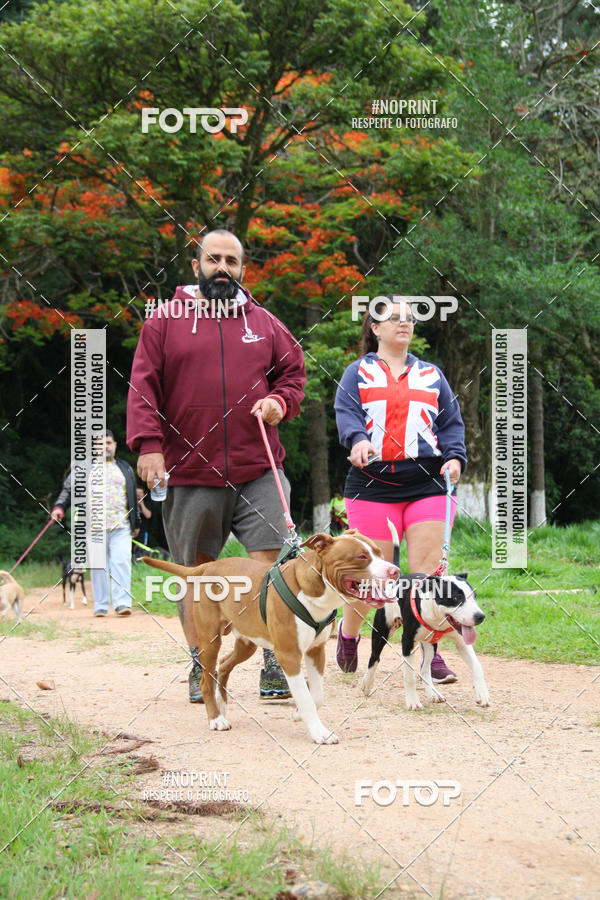Buy your photos of the event2 PET RUNNER 2019 on Fotop