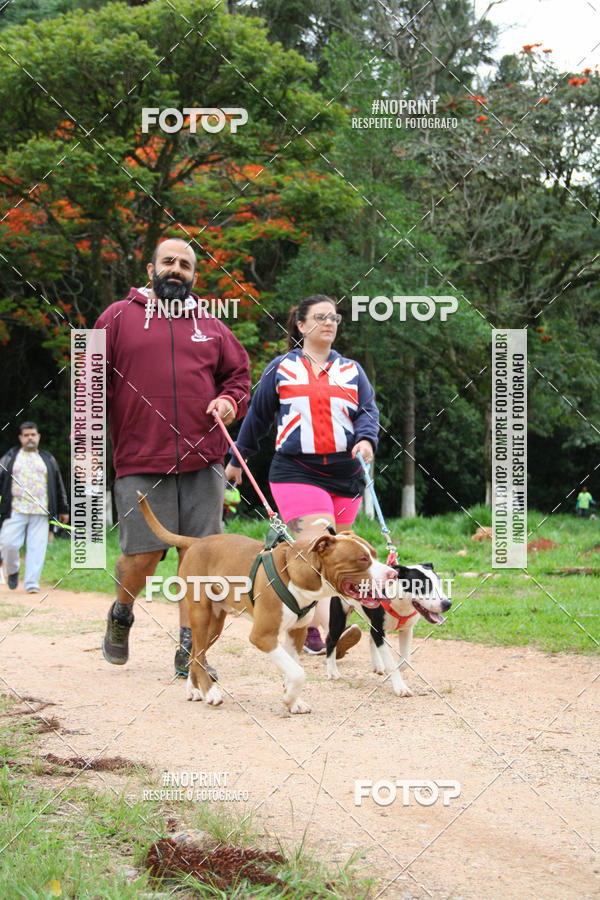 Buy your photos of the event2 PET RUNNER 2019 on Fotop