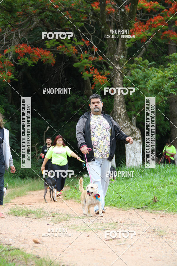 Buy your photos of the event2 PET RUNNER 2019 on Fotop