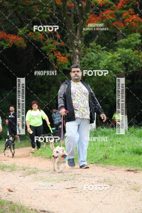 Buy your photos of the event2 PET RUNNER 2019 on Fotop