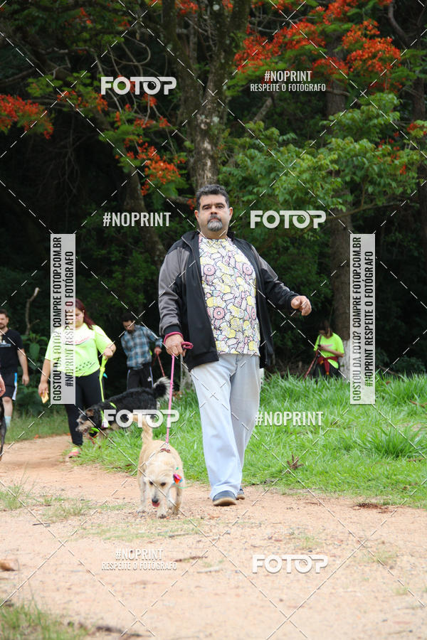 Buy your photos of the event2 PET RUNNER 2019 on Fotop