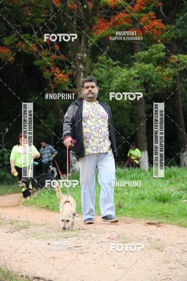 Buy your photos of the event2 PET RUNNER 2019 on Fotop