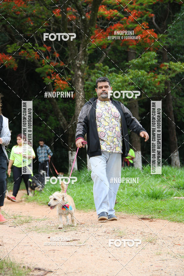 Buy your photos of the event2 PET RUNNER 2019 on Fotop