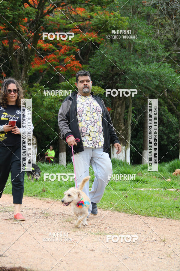 Buy your photos of the event2 PET RUNNER 2019 on Fotop