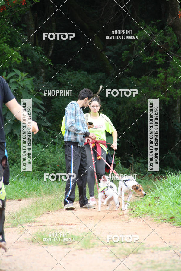 Buy your photos of the event2 PET RUNNER 2019 on Fotop