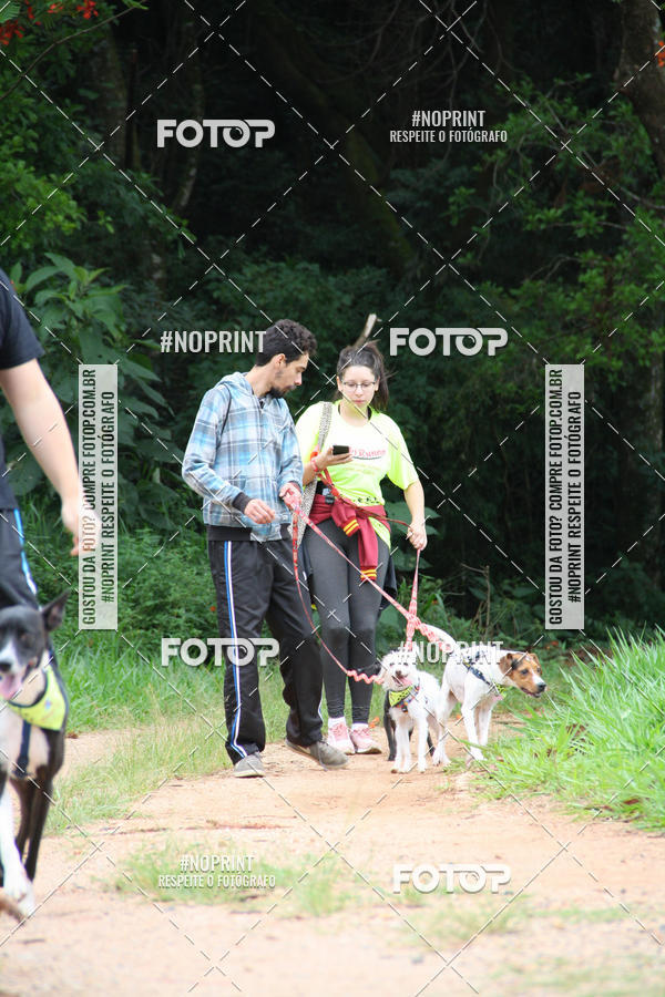 Buy your photos of the event2 PET RUNNER 2019 on Fotop