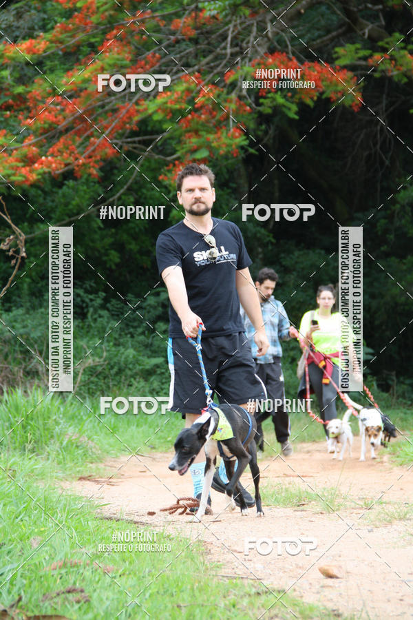 Buy your photos of the event2 PET RUNNER 2019 on Fotop