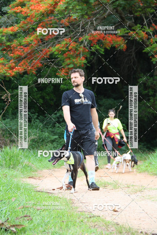 Buy your photos of the event2 PET RUNNER 2019 on Fotop