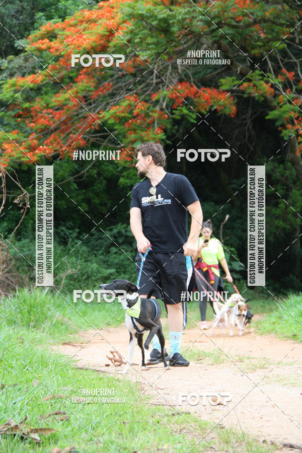 Buy your photos of the event2 PET RUNNER 2019 on Fotop