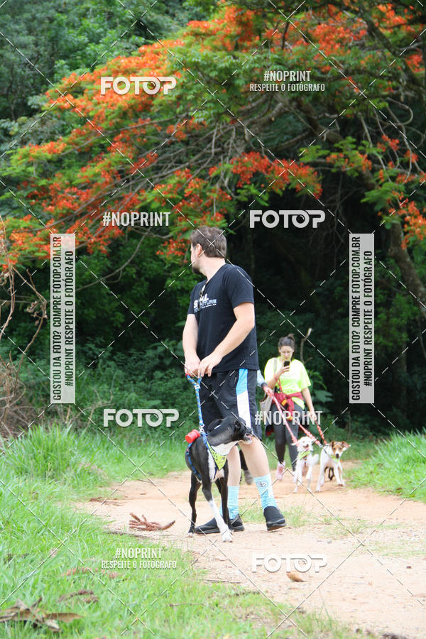 Buy your photos of the event2 PET RUNNER 2019 on Fotop