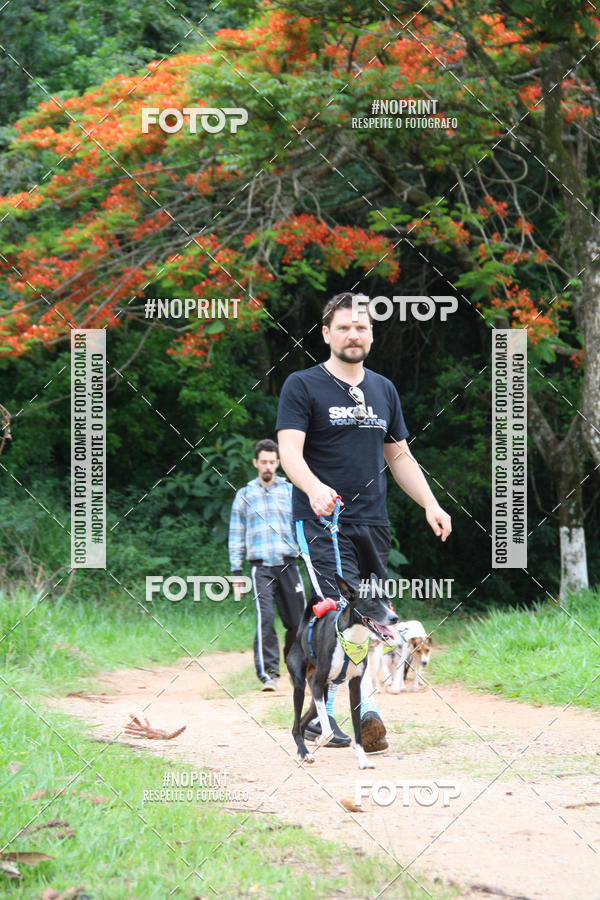 Buy your photos of the event2 PET RUNNER 2019 on Fotop