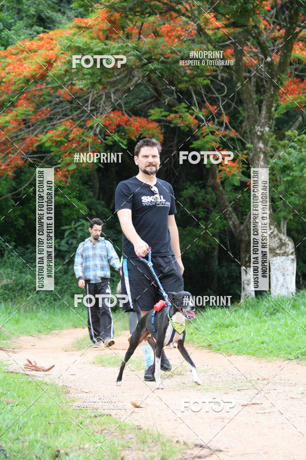 Buy your photos of the event2 PET RUNNER 2019 on Fotop