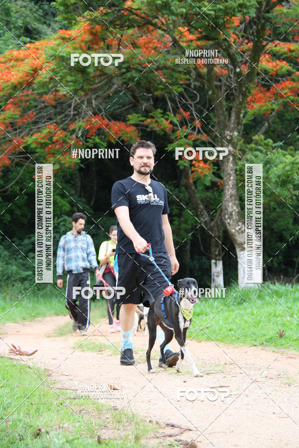 Buy your photos of the event2 PET RUNNER 2019 on Fotop