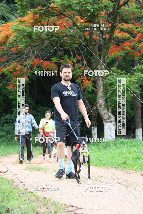 Buy your photos of the event2 PET RUNNER 2019 on Fotop