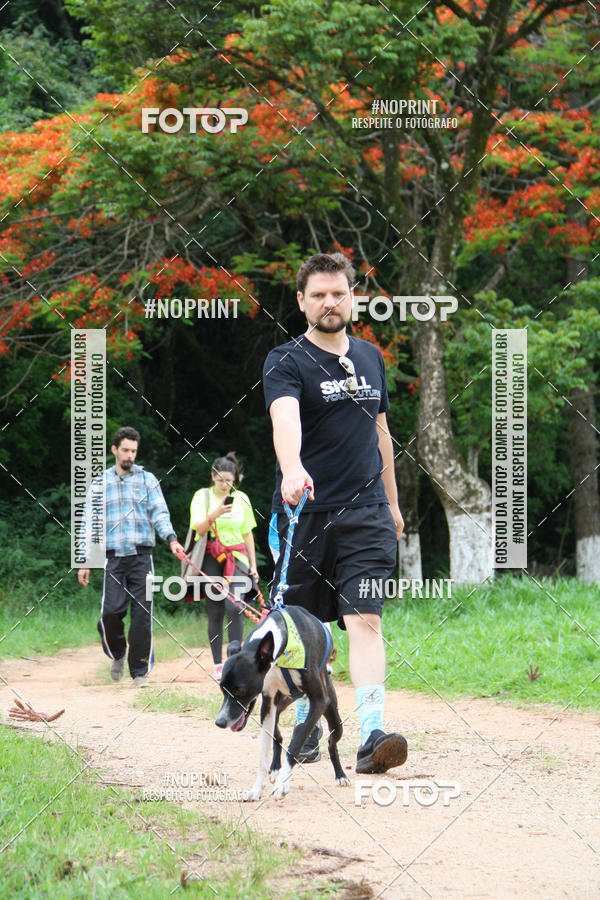 Buy your photos of the event2 PET RUNNER 2019 on Fotop