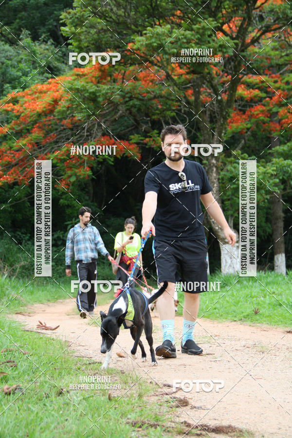 Buy your photos of the event2 PET RUNNER 2019 on Fotop