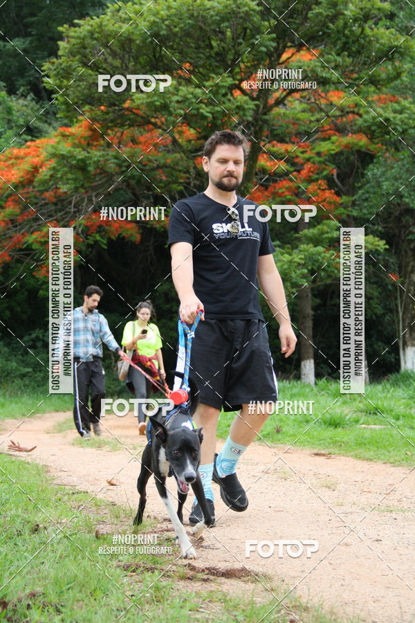 Buy your photos of the event2 PET RUNNER 2019 on Fotop