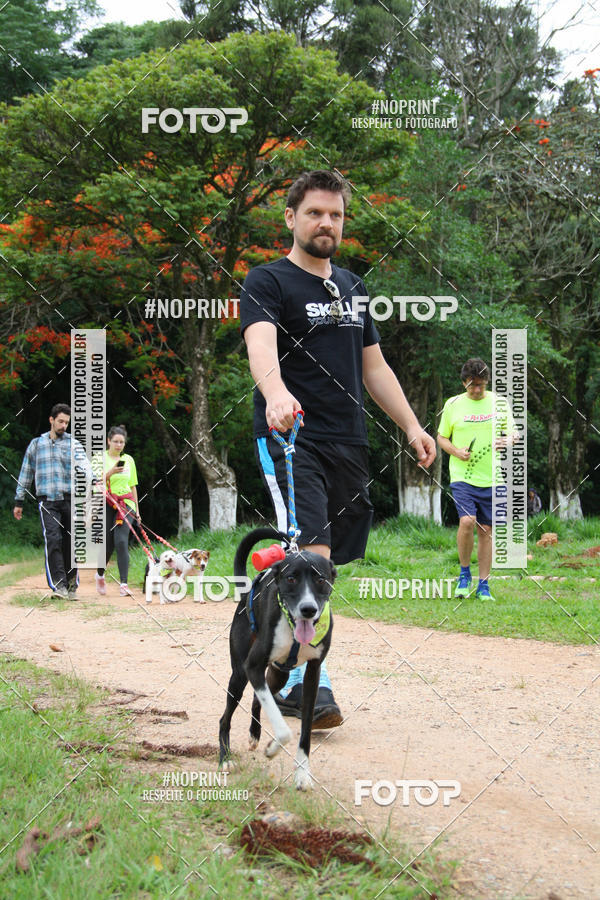 Buy your photos of the event2 PET RUNNER 2019 on Fotop