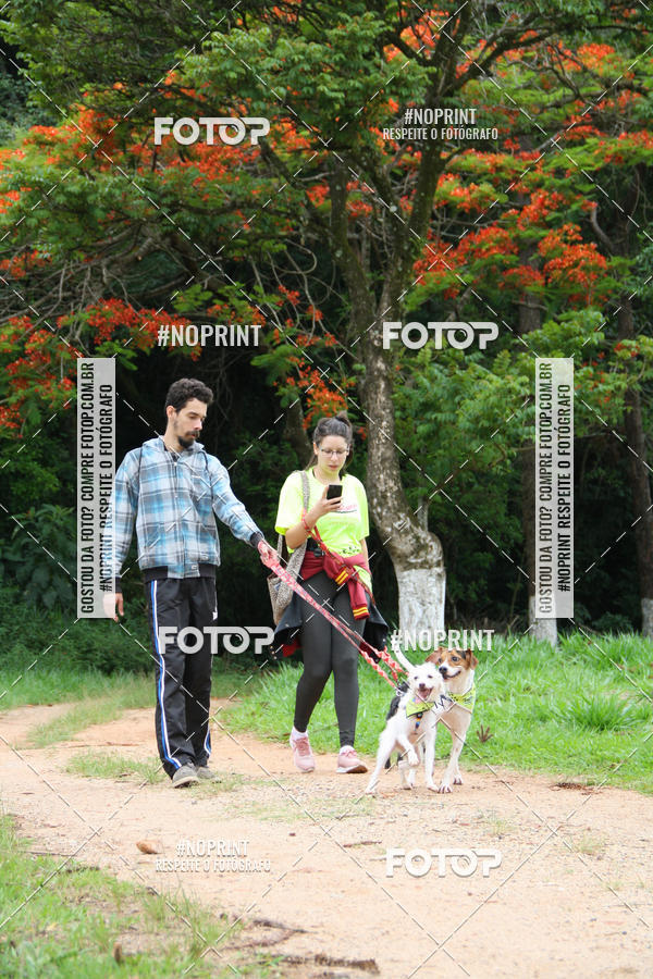 Buy your photos of the event2 PET RUNNER 2019 on Fotop