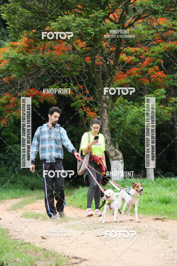 Buy your photos of the event2 PET RUNNER 2019 on Fotop