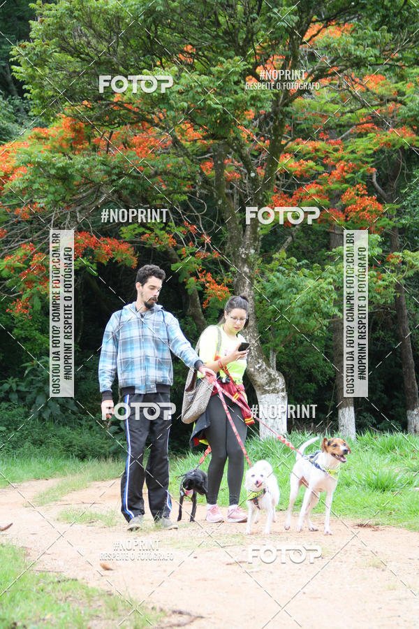 Buy your photos of the event2 PET RUNNER 2019 on Fotop