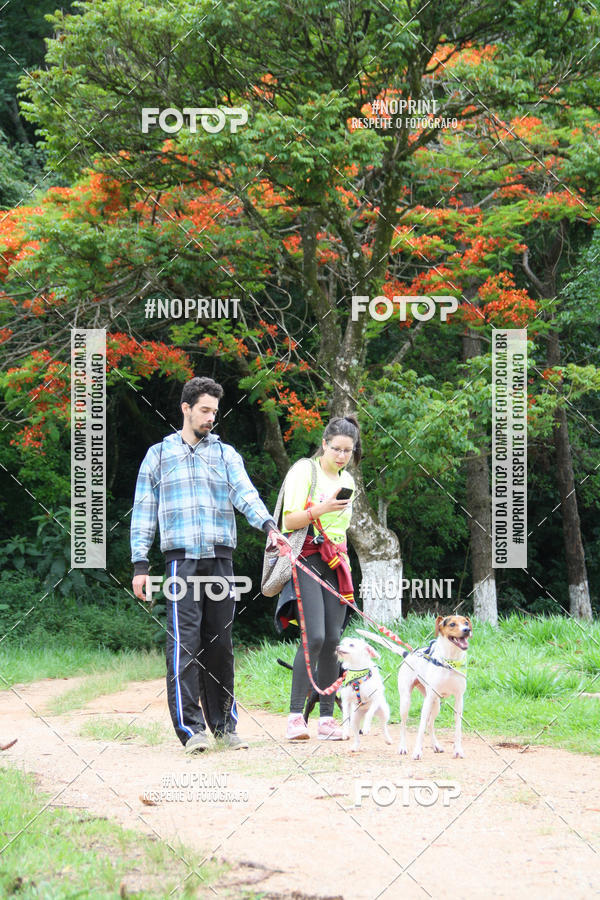 Buy your photos of the event2 PET RUNNER 2019 on Fotop