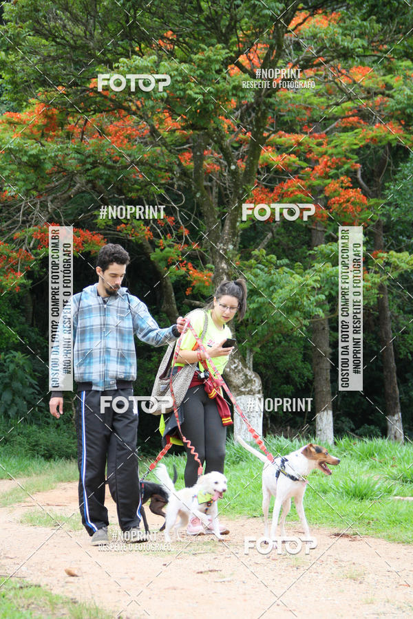 Buy your photos of the event2 PET RUNNER 2019 on Fotop