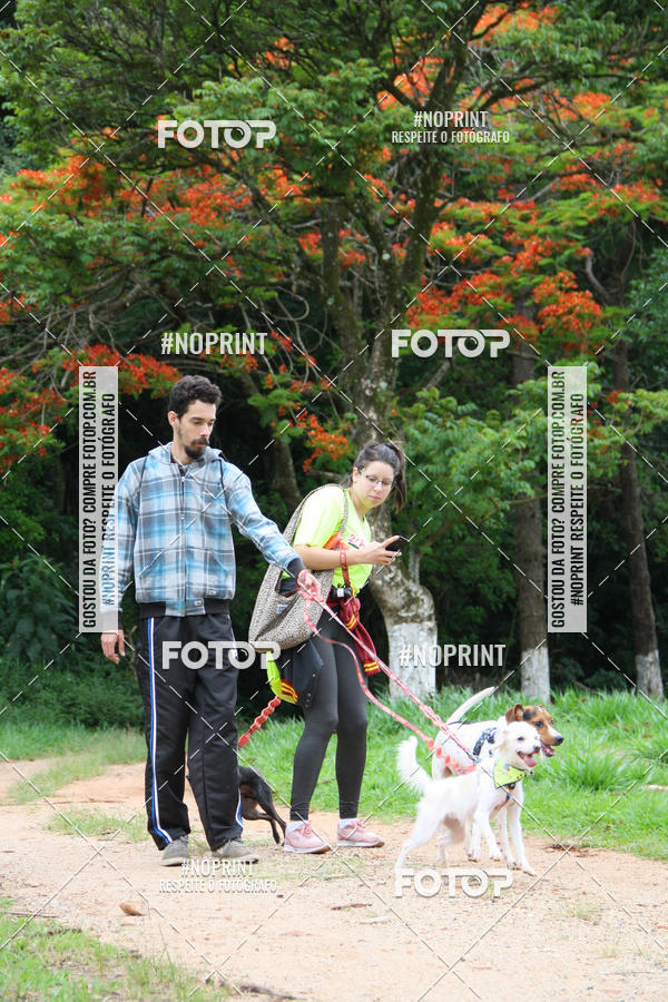 Buy your photos of the event2 PET RUNNER 2019 on Fotop