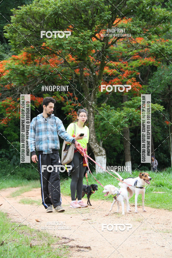 Buy your photos of the event2 PET RUNNER 2019 on Fotop